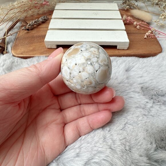 Small King Cobra Jasper Sphere - Picture 2 of 6